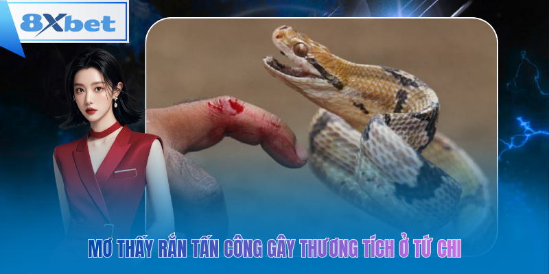 Mơ thấy rắn tấn công gây thương tích ở tứ chi