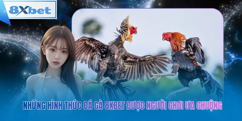 Những hình thức đá gà 8xbet được người chơi ưa chuộng